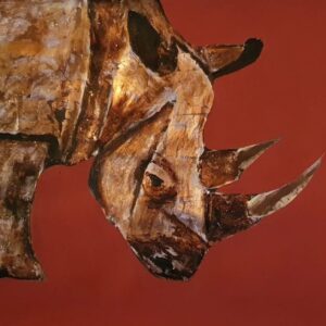 Da série: sempre quis um rinoceronte em casa