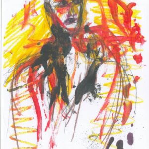 O homem com coração de pássaro